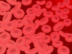 貧血でお悩みの方必見。食生活を見直すことからはじめる貧血予防のすすめ
