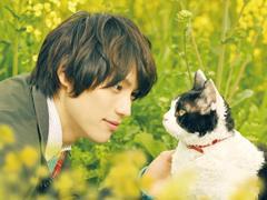 alluxe Cinema ― お出かけが楽しくなる秋は、映画ざんまいで過ごすのはいかが