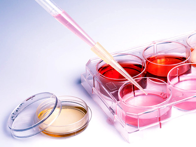 再生医療における「幹細胞上清液」の役割
