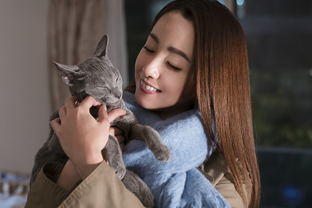 沢尻エリカ主演作『猫は抱くもの』 完成披露試写会を3組6名様にプレゼント